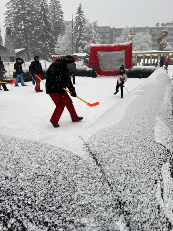 Hockey sur neige