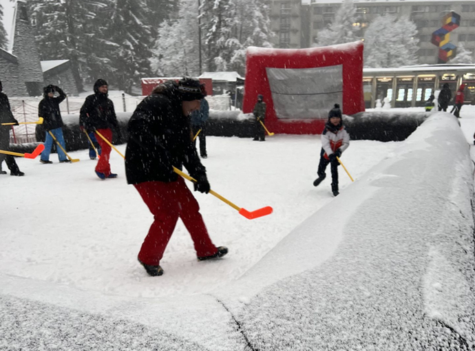 Hockey sur neige