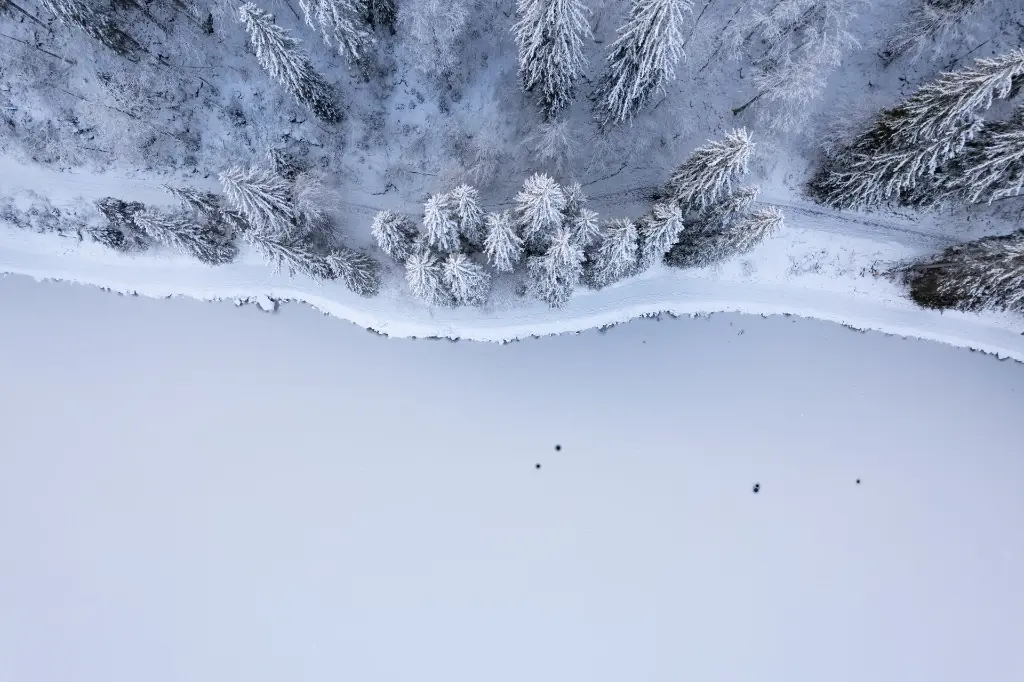 Vincent Euzen Lac de Montriond Photo 39 (1).webp