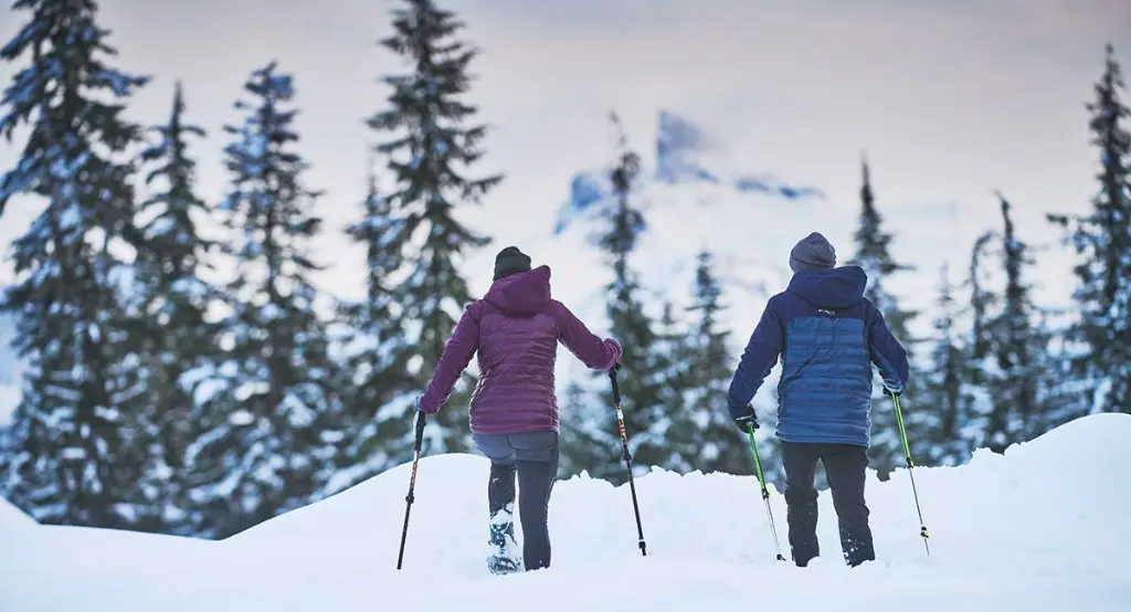 article_516_les_11_plus_belles_randonnees_en_raquettes_1e26449dbe (1).webp