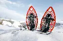 raquettes-neige.webp