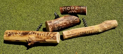 ATELIER BOIS - Crée ton Tire Bouchon (OT)